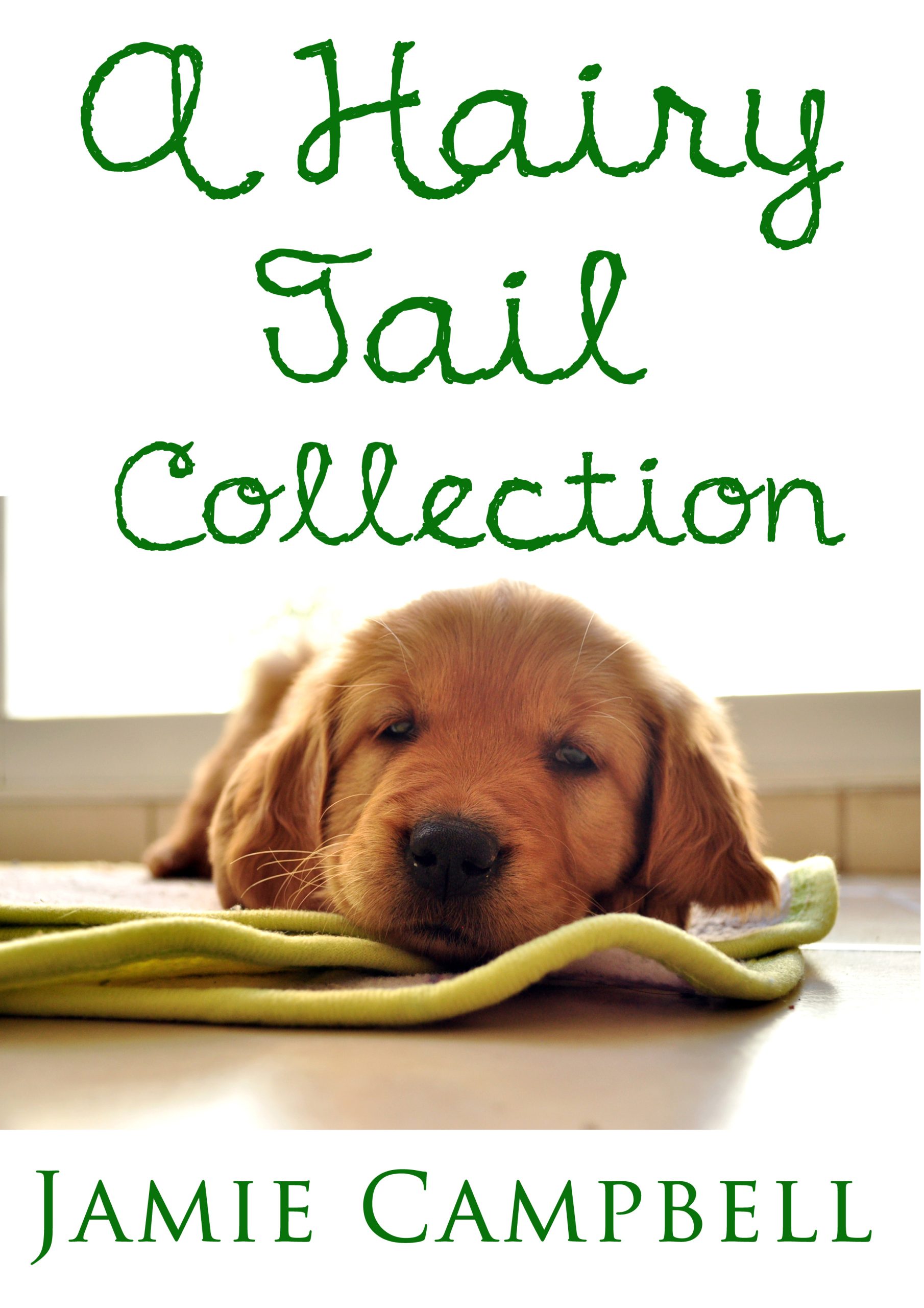 A-Hairy-Tail-Collection-Cover
