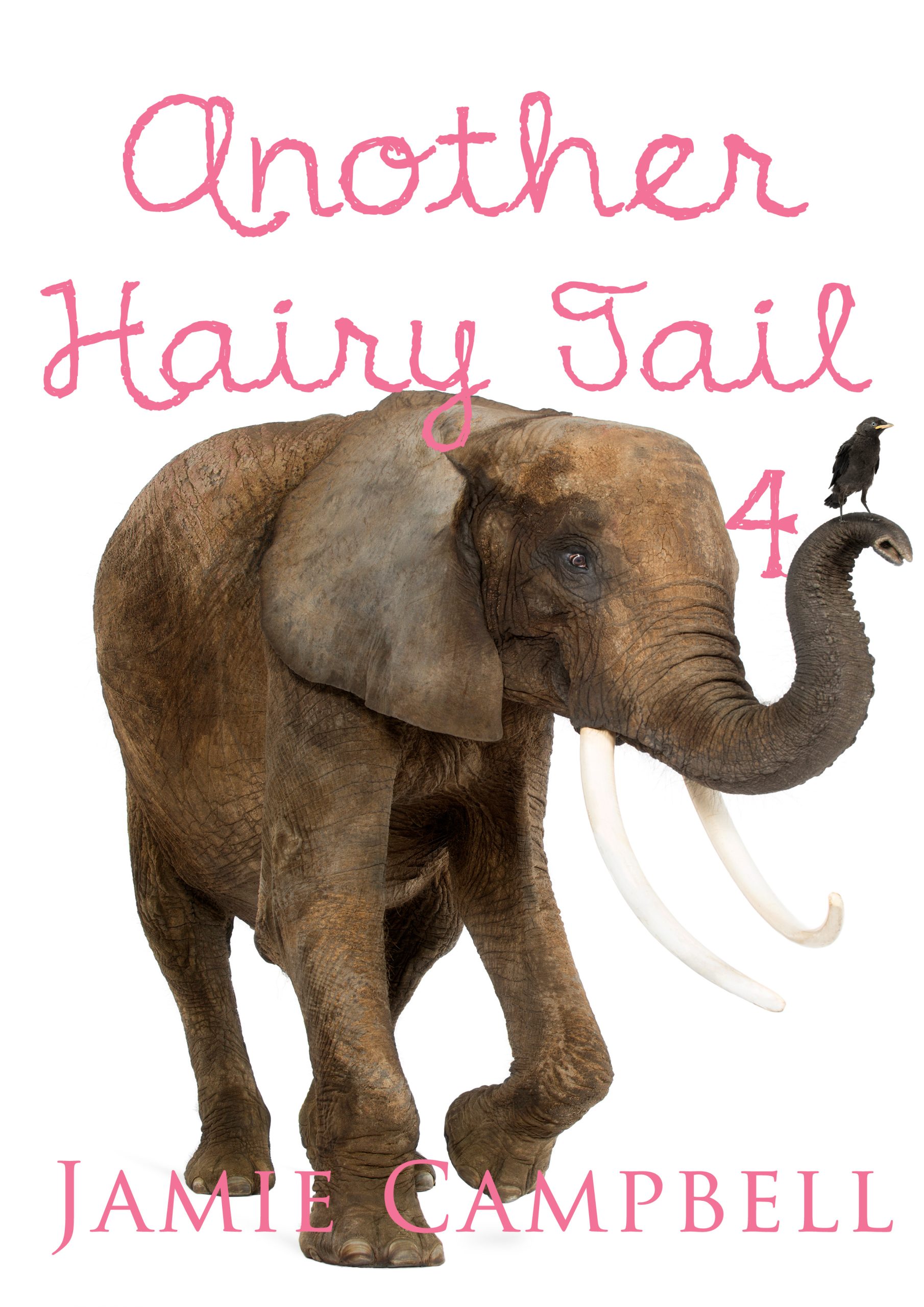 Another-Hairy-Tail-4-Cover